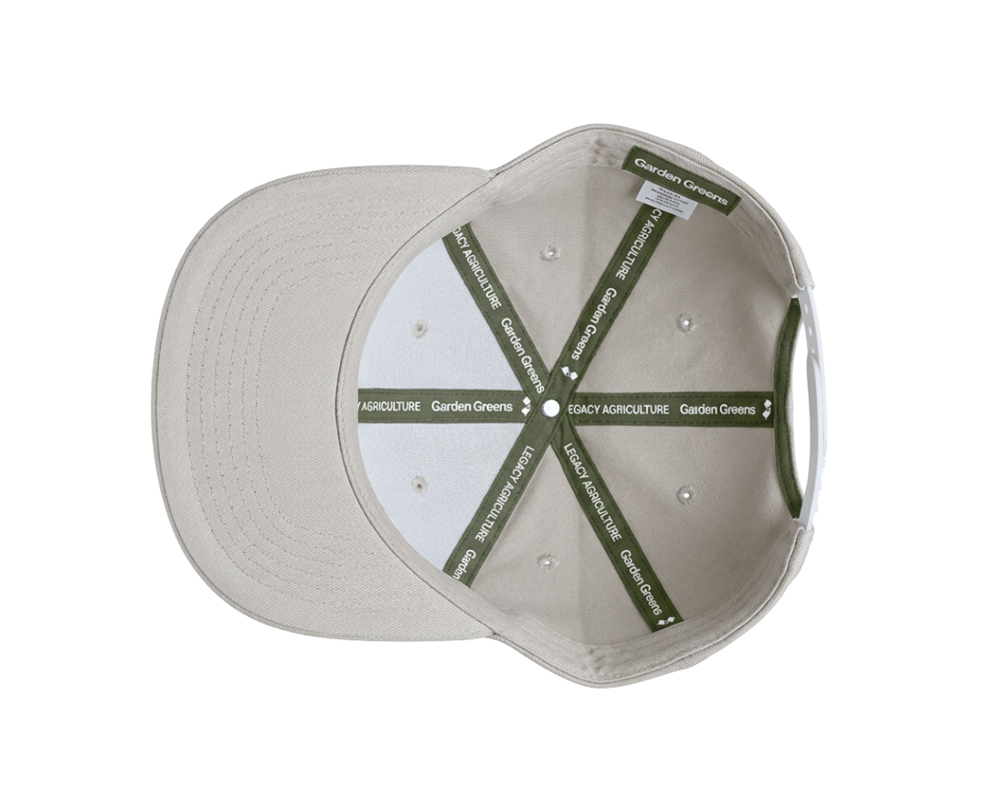 A-Frame Snapback-4