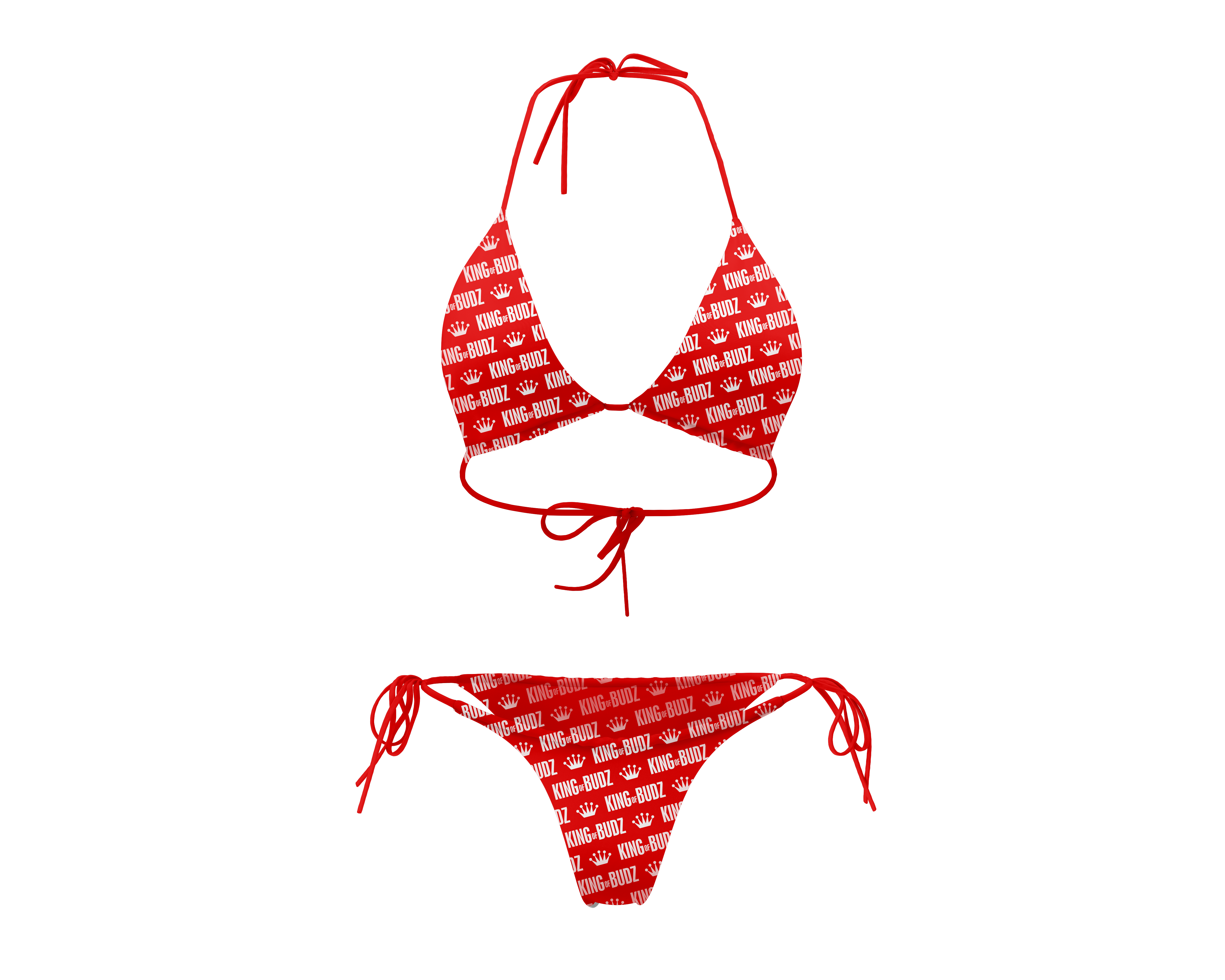 Women's Bikini-3