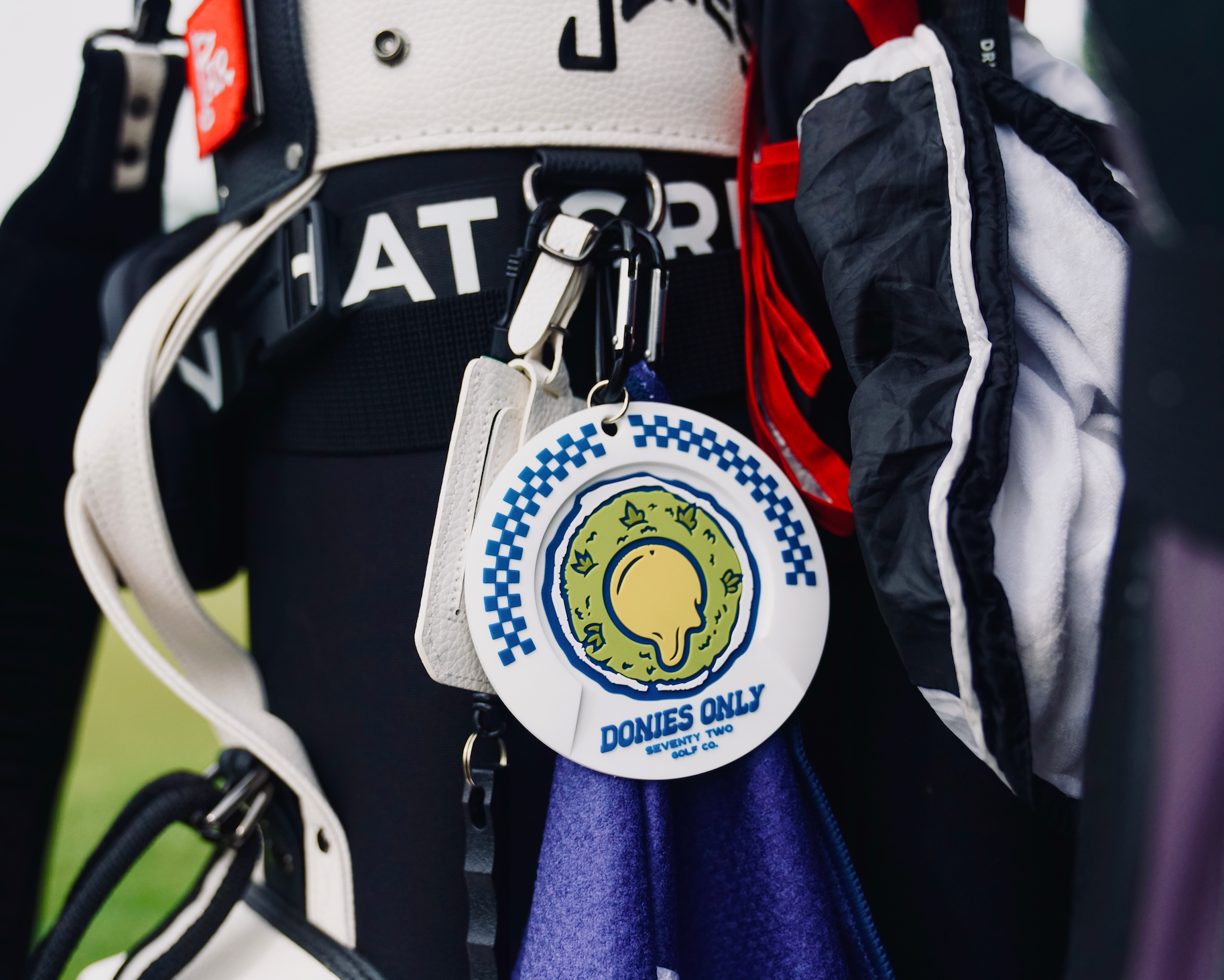 Golf Putting Disc-2