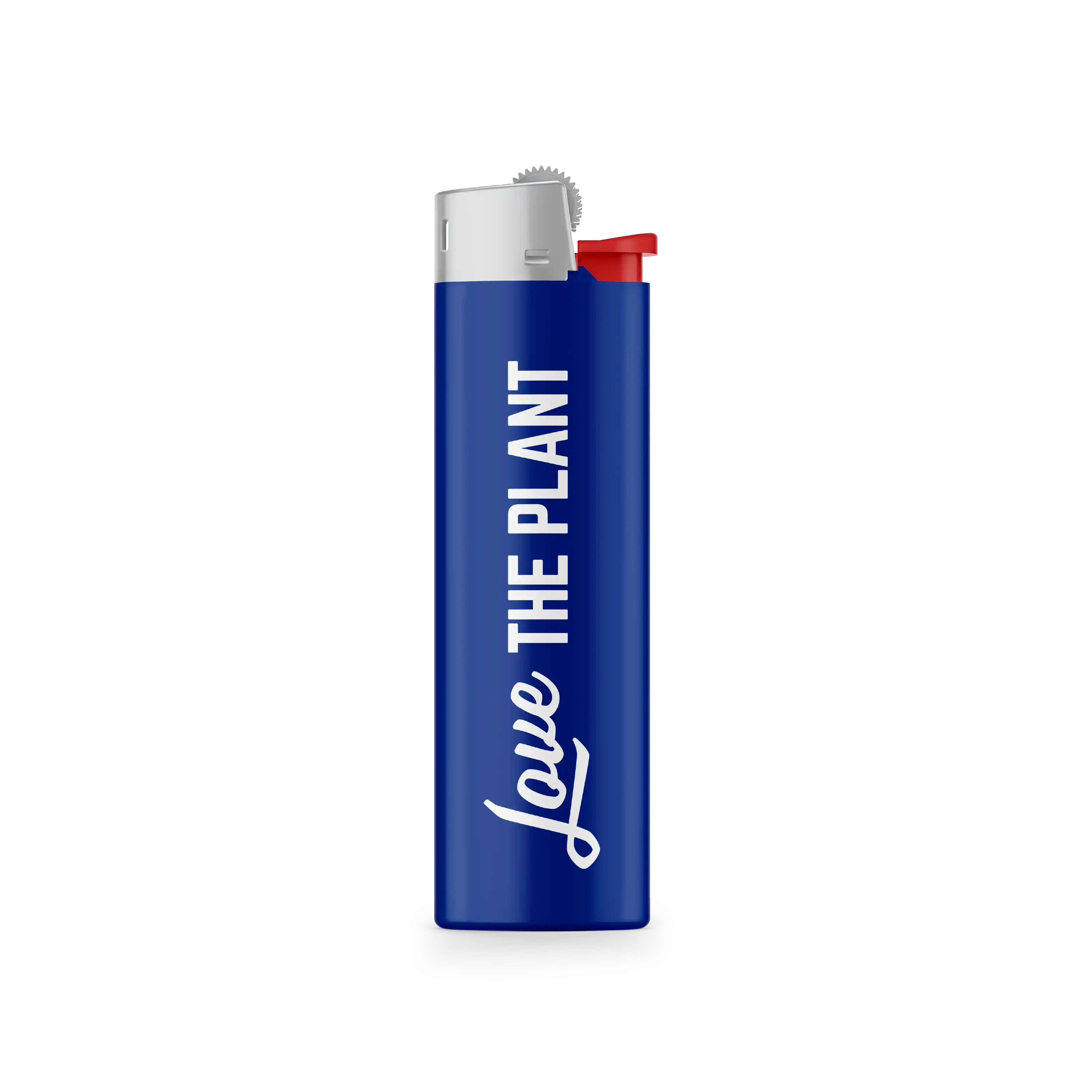 BIC Lighter-2