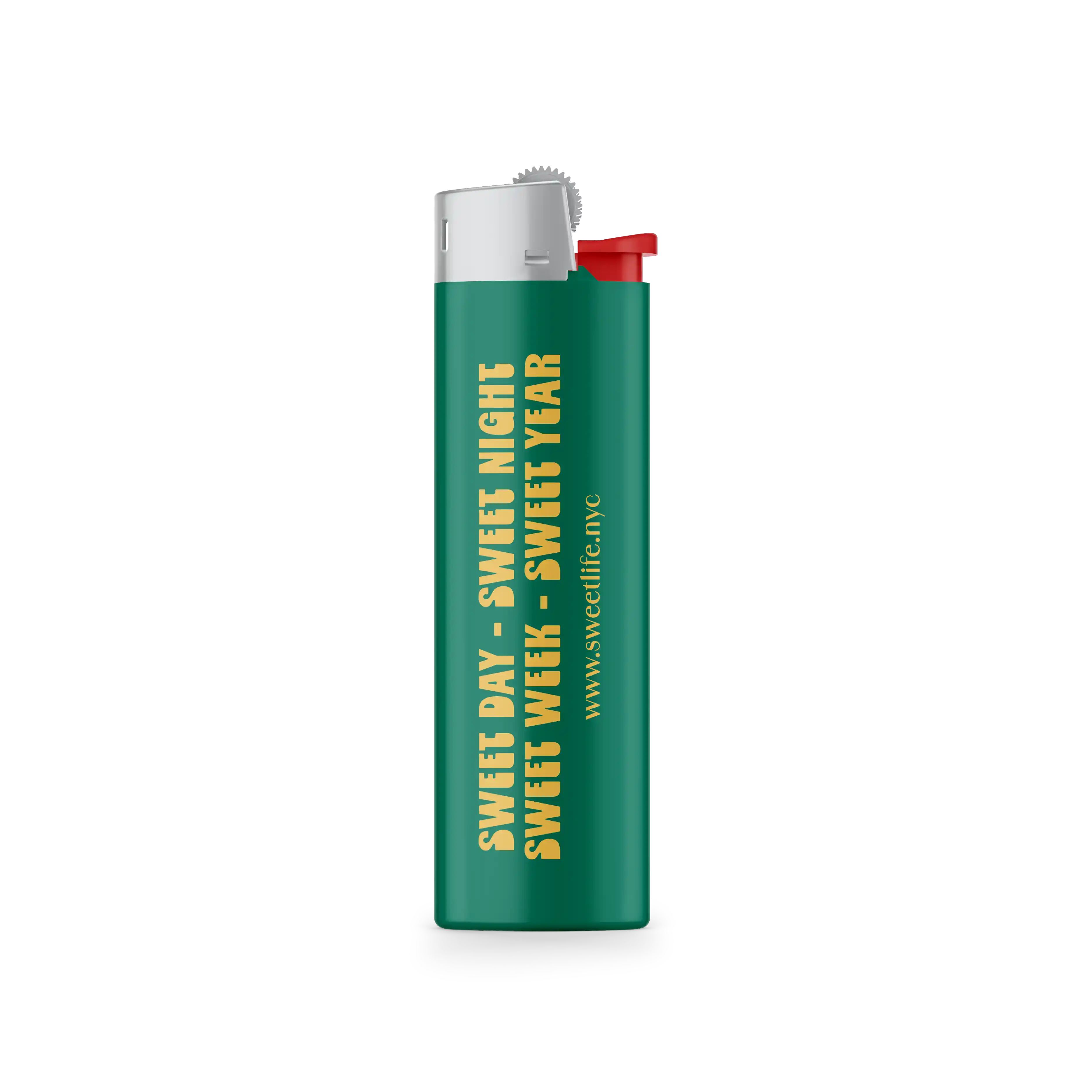BIC Lighter-2