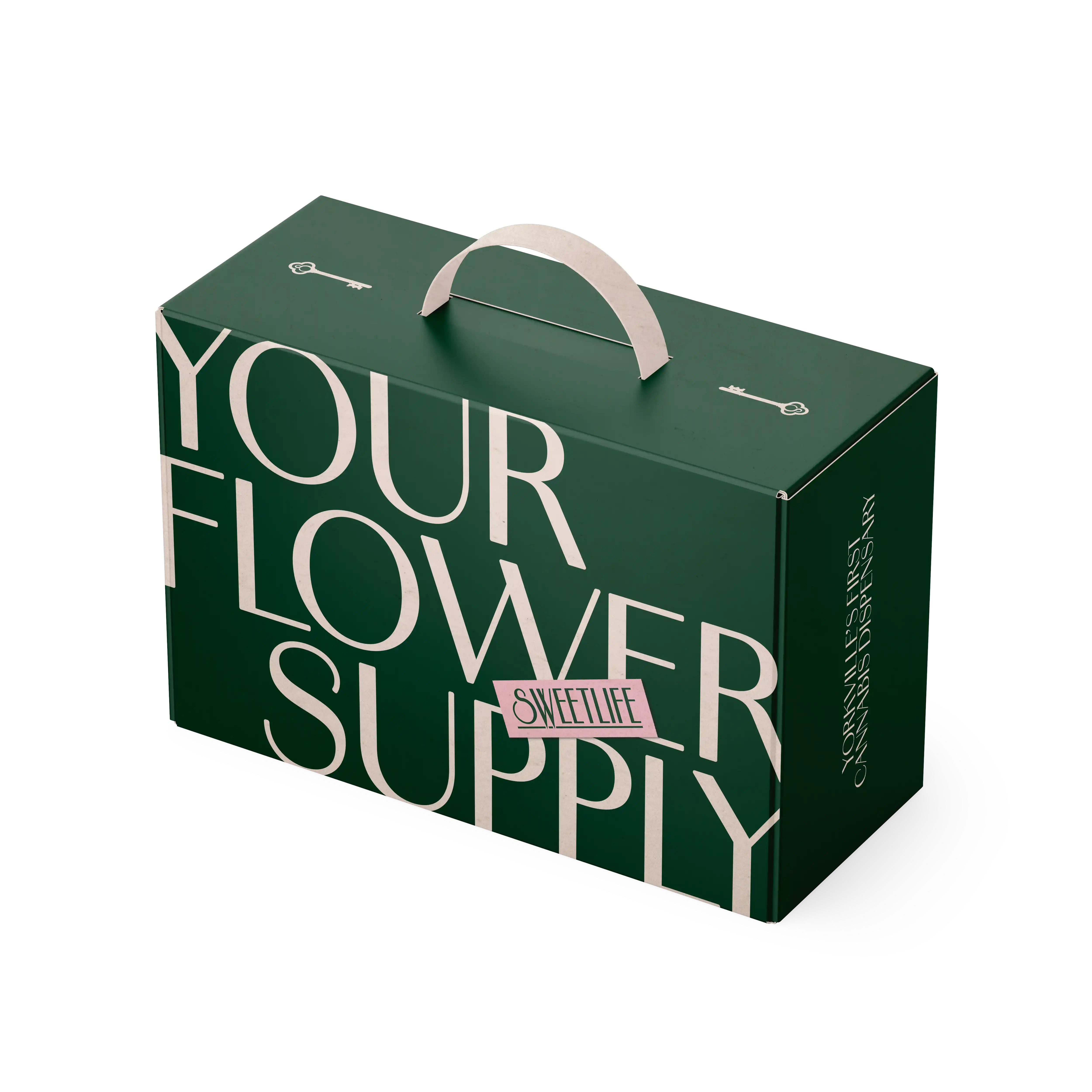 Influencer Box-2